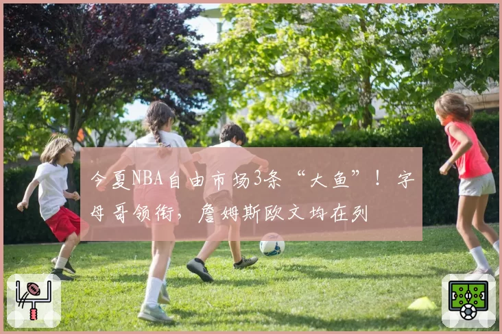 今夏NBA自由市场3条“大鱼”！字母哥领衔，詹姆斯欧文均在列